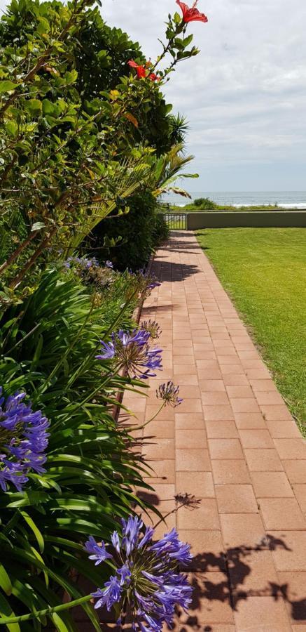 Beachfront Bliss Ohope Buitenkant foto